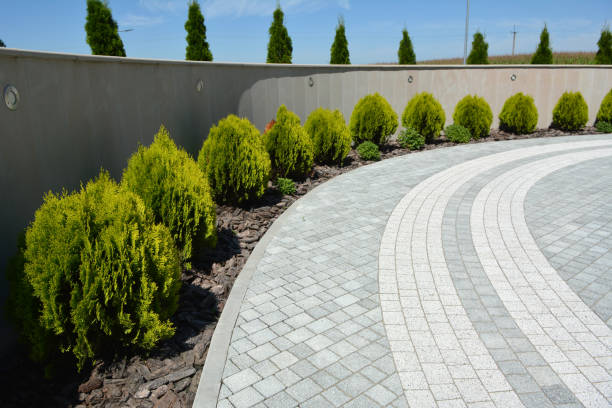 Best Driveway Paving Contractor  in Beaver, UT
